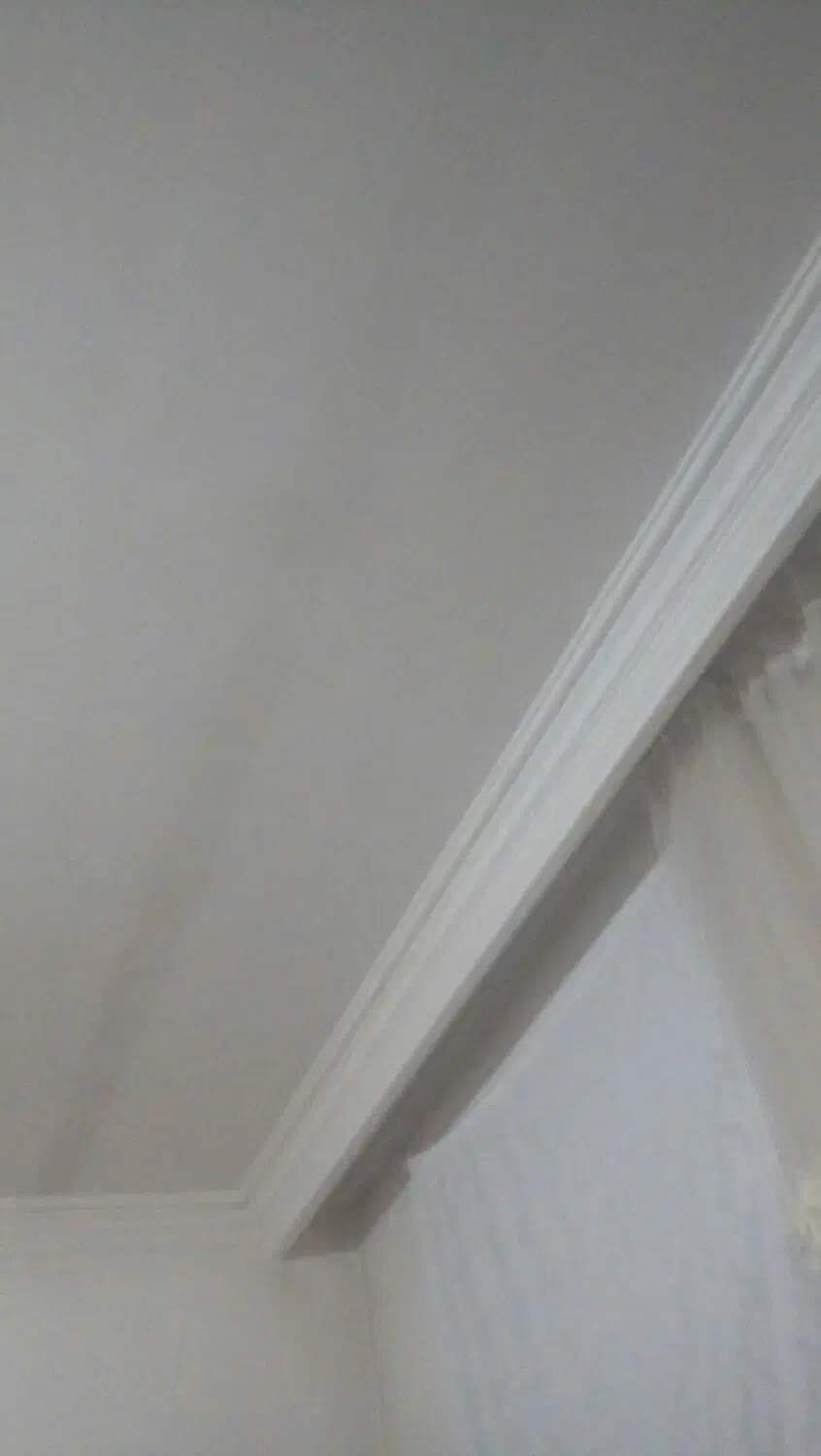 نقاشی ساختمان|خدمات پیشه و مهارت|نیشابور, خط کاشمر|دیوار