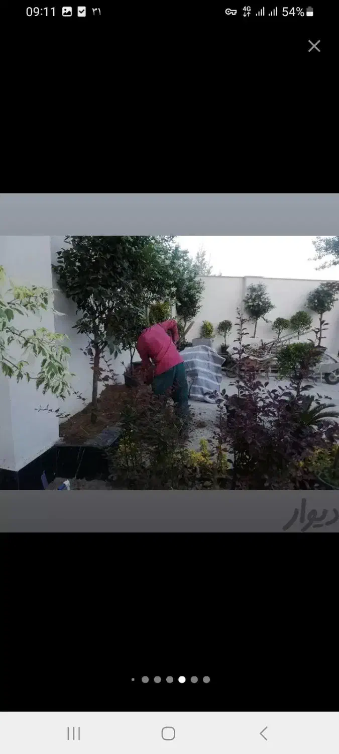 اجرای فضای سبز|خدمات باغبانی و درختکاری|کرج, کیانمهر|دیوار