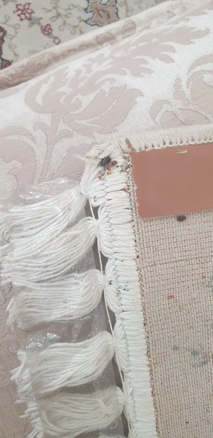 سمپاشی سوسک،ساس کل حشرات باضمانت سم پاشی|خدمات نظافت|تهران, هروی|دیوار