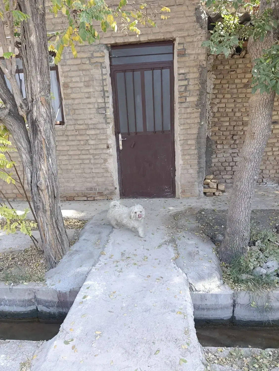 سوییت در مجاورت فضایی سبز و آرام|اجارهٔ کوتاهمدت آپارتمان و سوئیت|سمنان, |دیوار