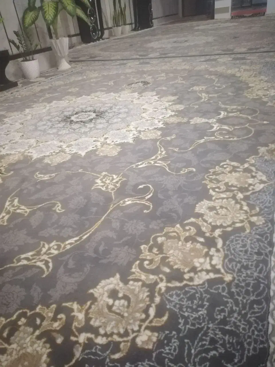 فرش دوازده متری|فرش|زابل, |دیوار