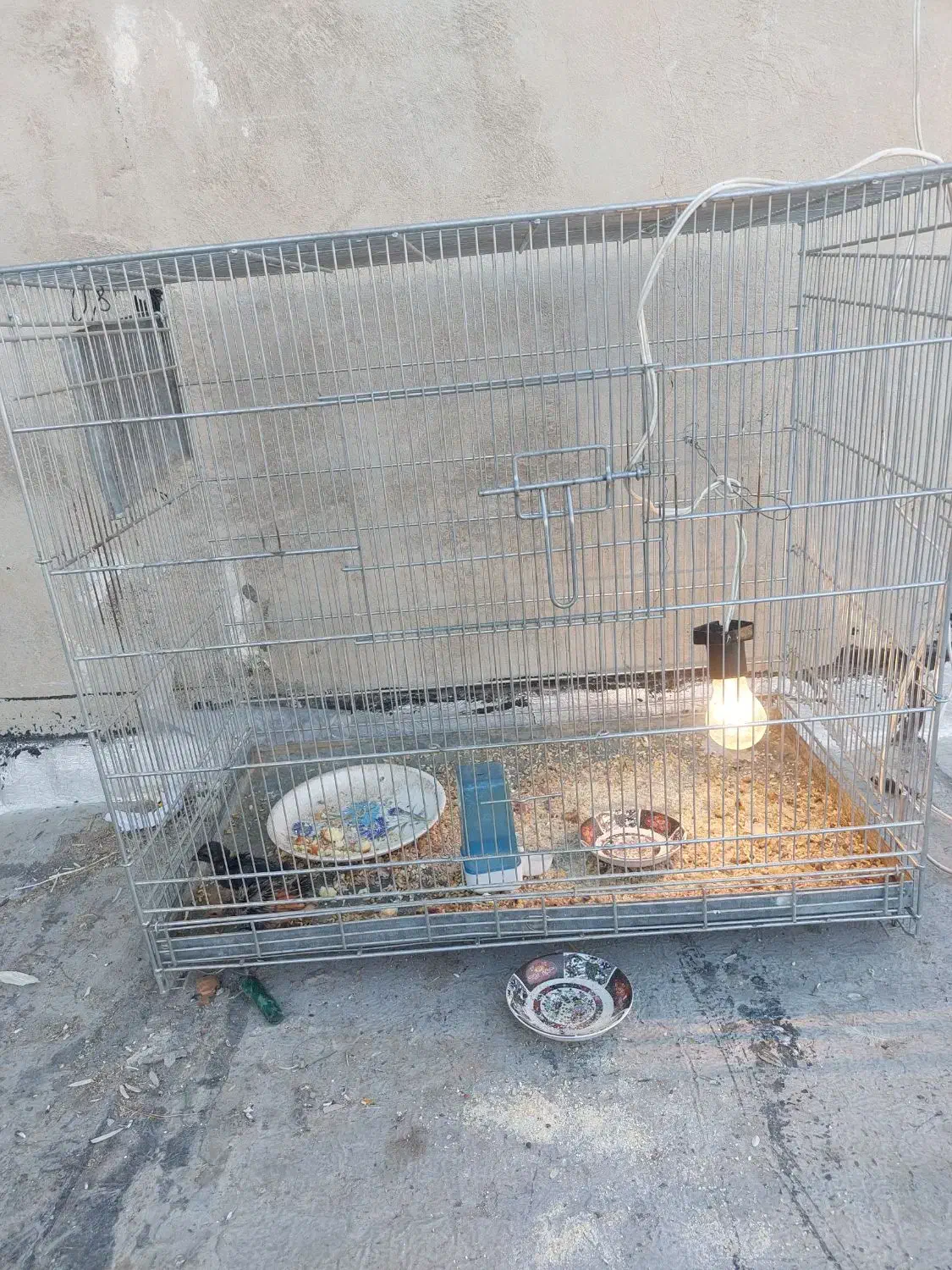 قفس|لوازم جانبی حیوانات|اسلامشهر, مظفریه|دیوار