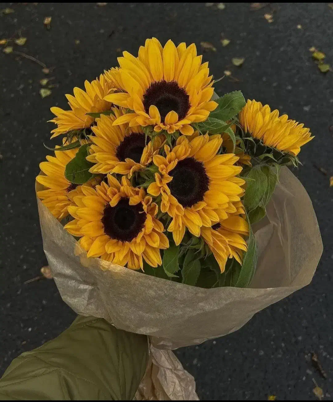 خدمات|خدمات باغبانی و درختکاری|قم, حاج زینل|دیوار