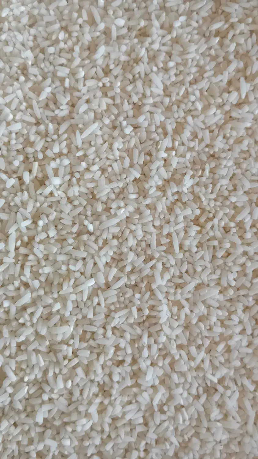 برنج لاشه هاشمی|خوردنی و آشامیدنی|کوچصفهان, |دیوار