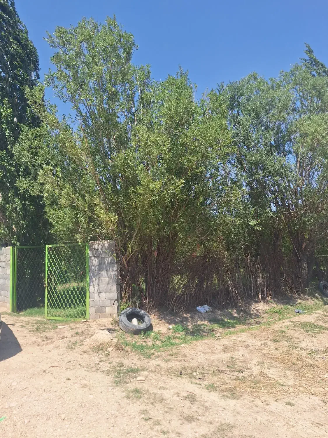 فروش باغ ویلا|فروش زمین و ملک کلنگی|فیروزکوه, |دیوار