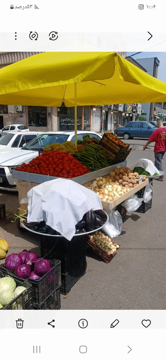 گاری|فروشگاه و مغازه|رشت, کاکتوس|دیوار