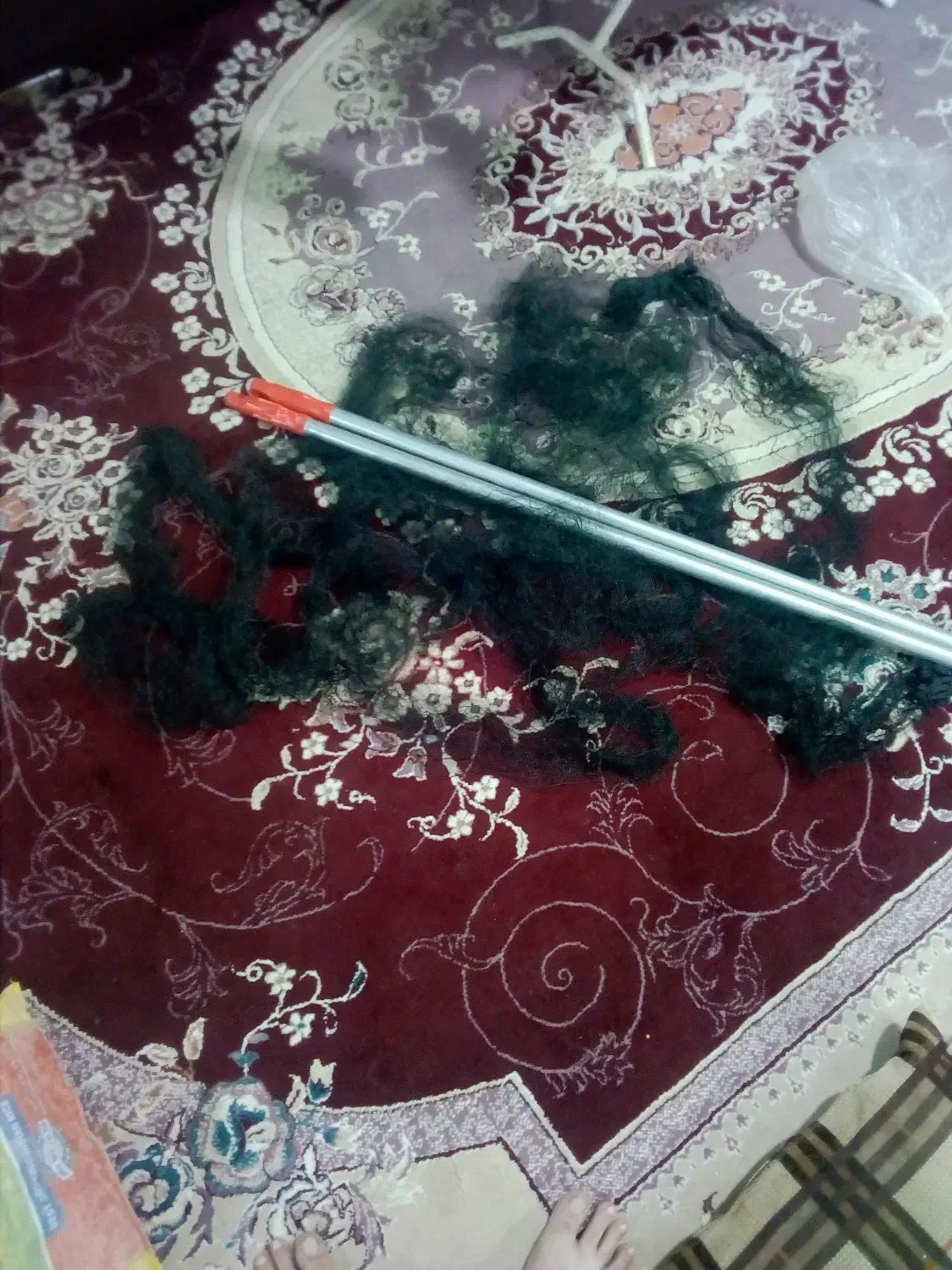 تورسهره|لوازم جانبی حیوانات|کوهدشت, |دیوار