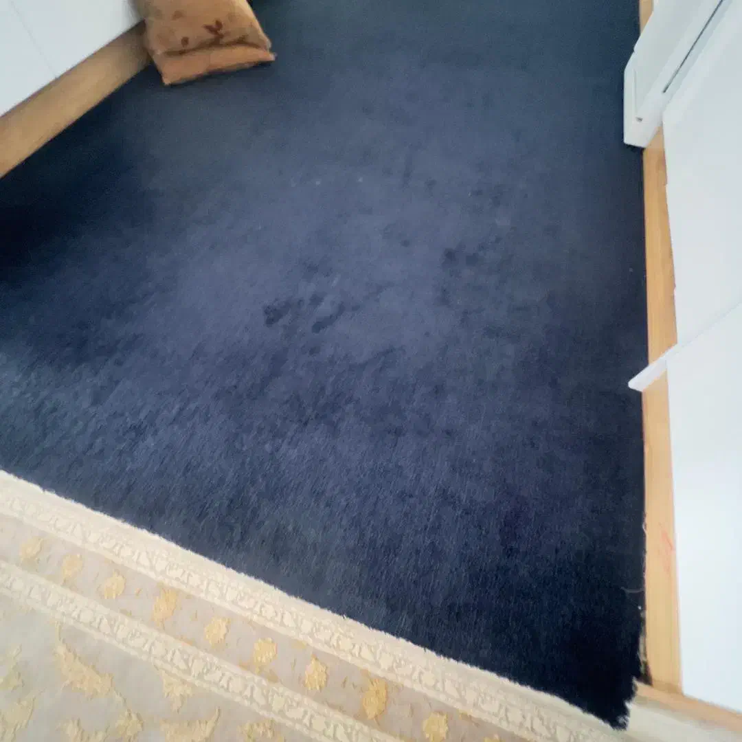 موکت|موکت|یاسوج, |دیوار