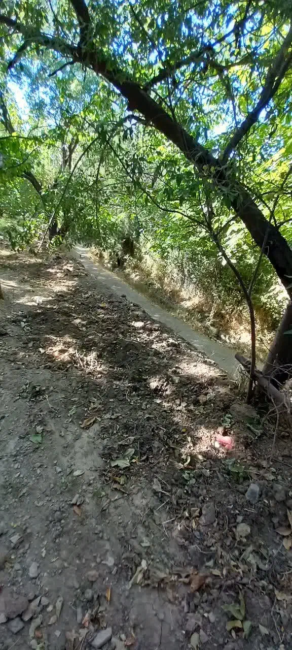 زمین فروشی|فروش زمین و ملک کلنگی|کهک, |دیوار