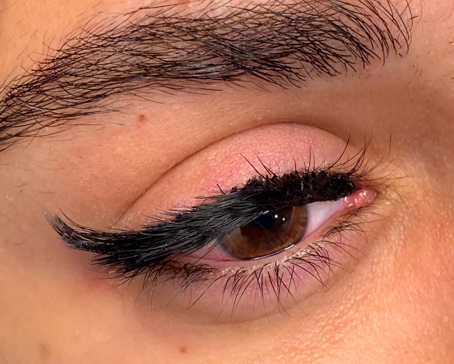 اموزش رایگان (فقط فنسازی و ریموو به دو روش)|خدمات آموزشی|رشت, دیلمان|دیوار