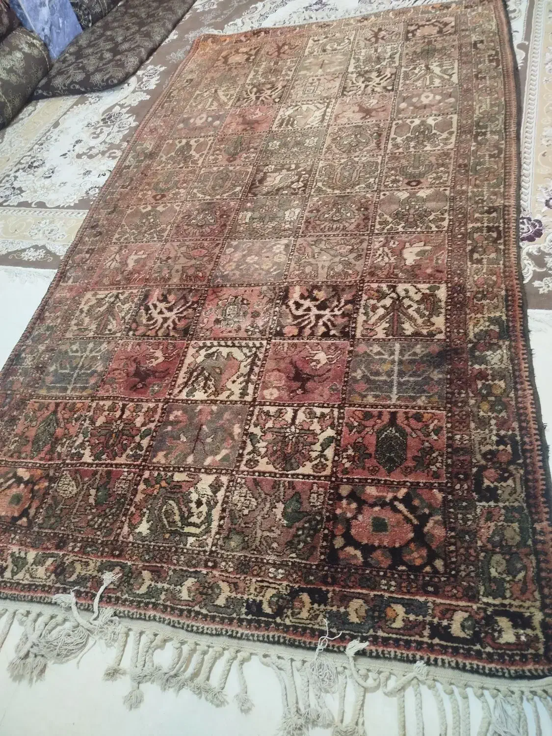 قالی چالشتری|فرش|لردگان, |دیوار