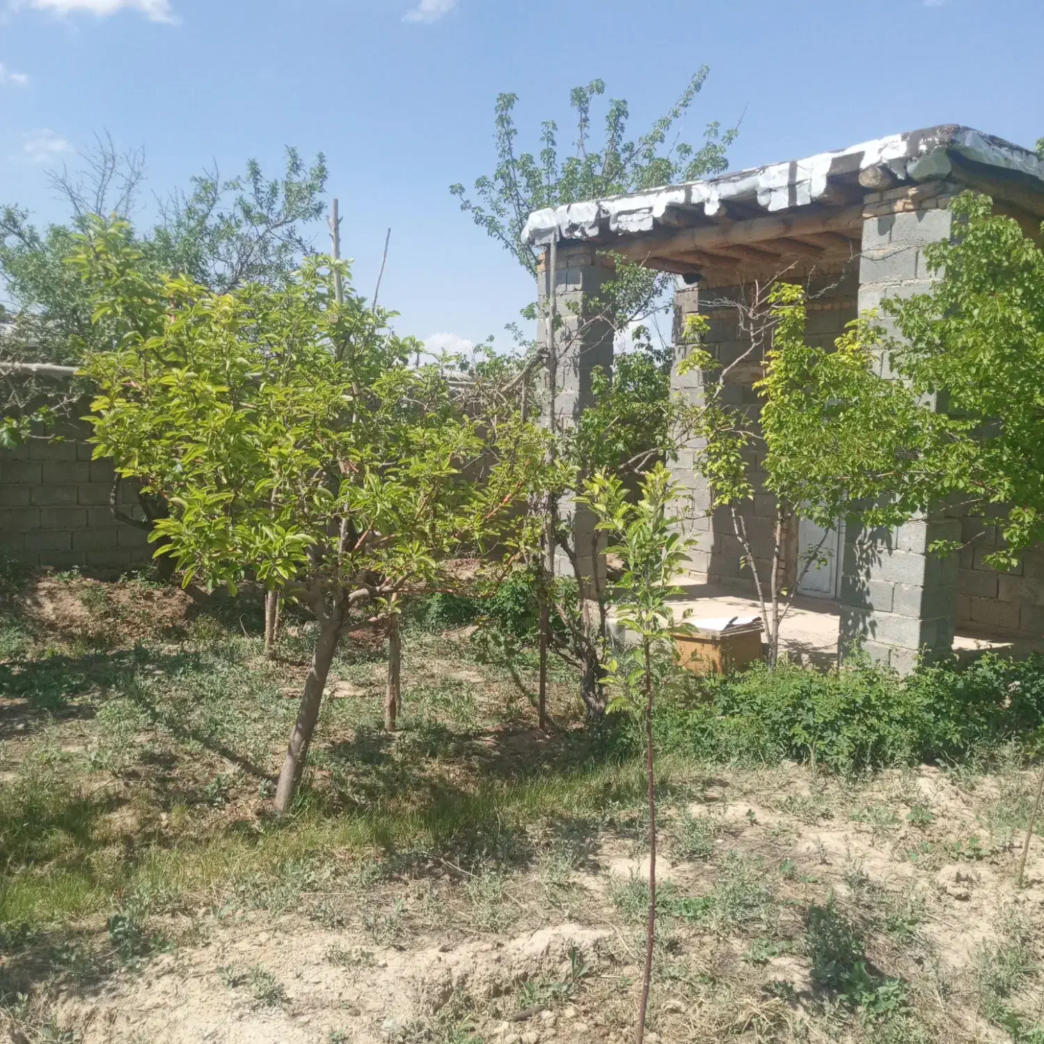 باغ در نعمت اله صوفیان بعد از خط راه اهن|فروش خانه و ویلا|صوفیان, |دیوار