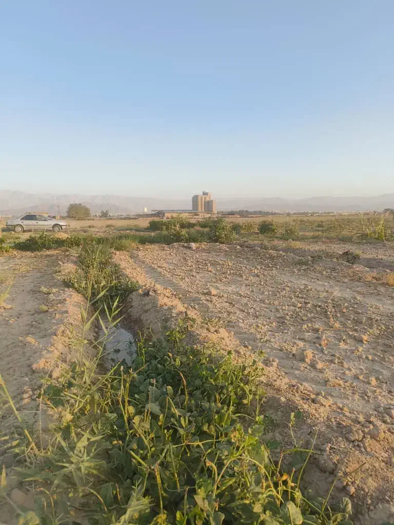 فروش باغ پسته|فروش دفتر صنعتی، کشاورزی، تجاری|سمنان, |دیوار