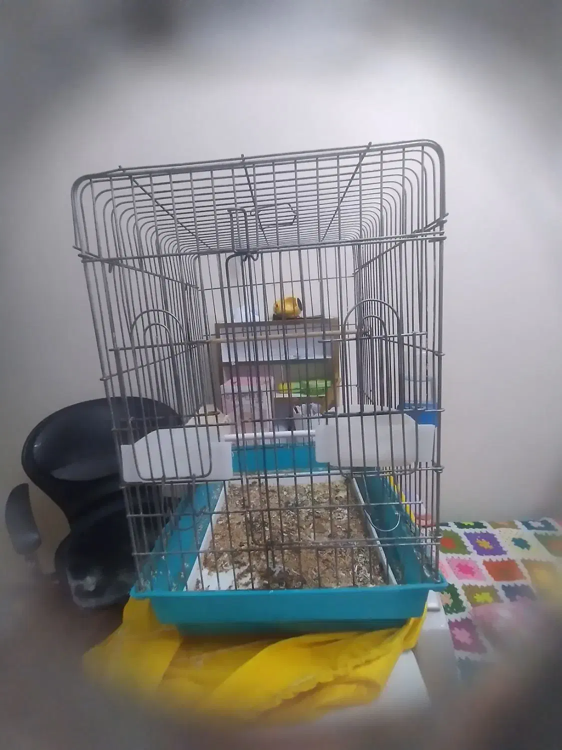 قفس|لوازم جانبی حیوانات|تهران, شارق|دیوار