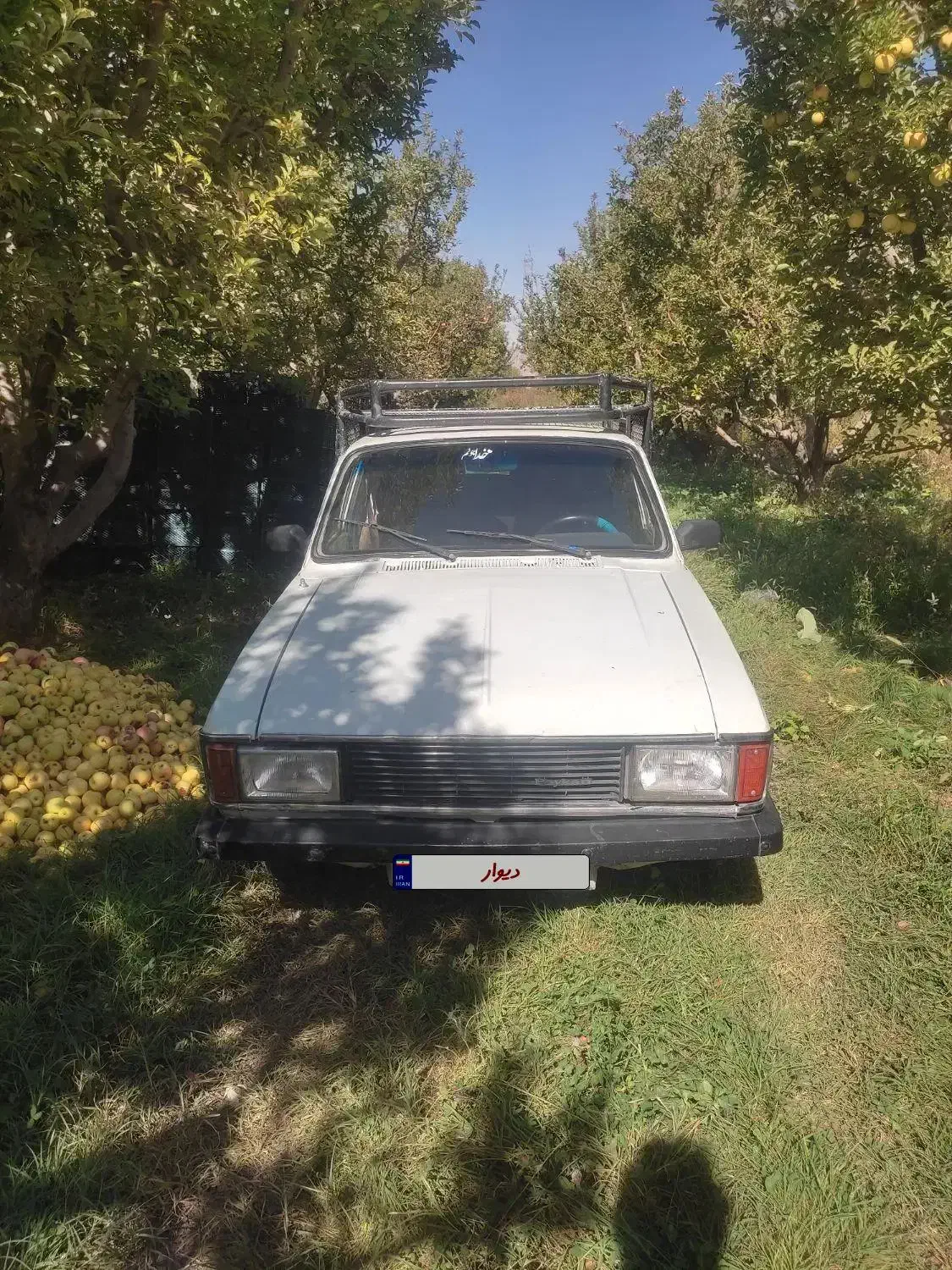 پیکان وانت|خودرو سواری و وانت|ارومیه, |دیوار