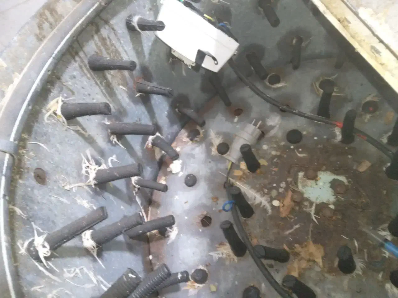 وسایل کامل مرغ فروشی|فروشگاه و مغازه|کنگاور, |دیوار