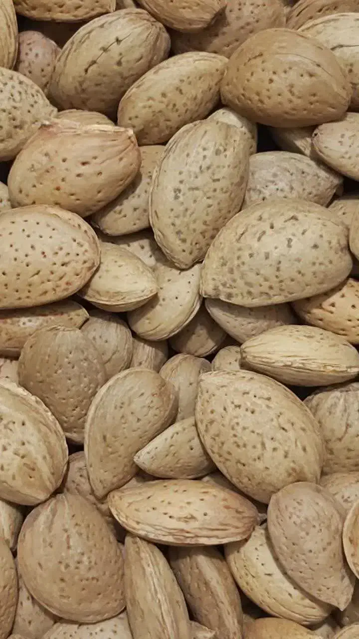 بادام سنگی بادام زمینی آستانه لوبیاچیتی شکلات خرما|خوردنی و آشامیدنی|قم, باسکول|دیوار