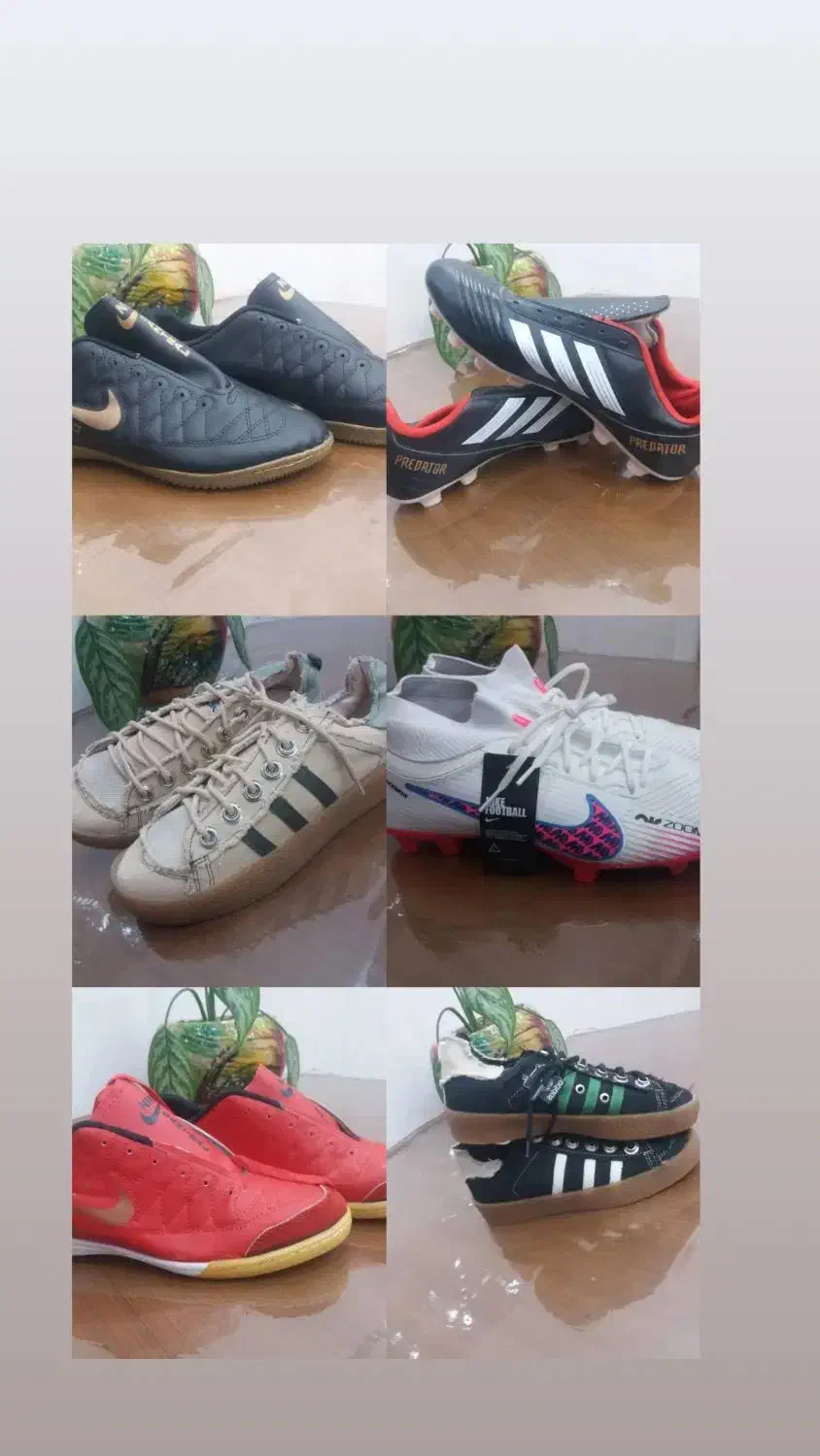 کفش و صندل زنانه و مردانه و بچگانه|کیف، کفش، کمربند|ایوان, |دیوار