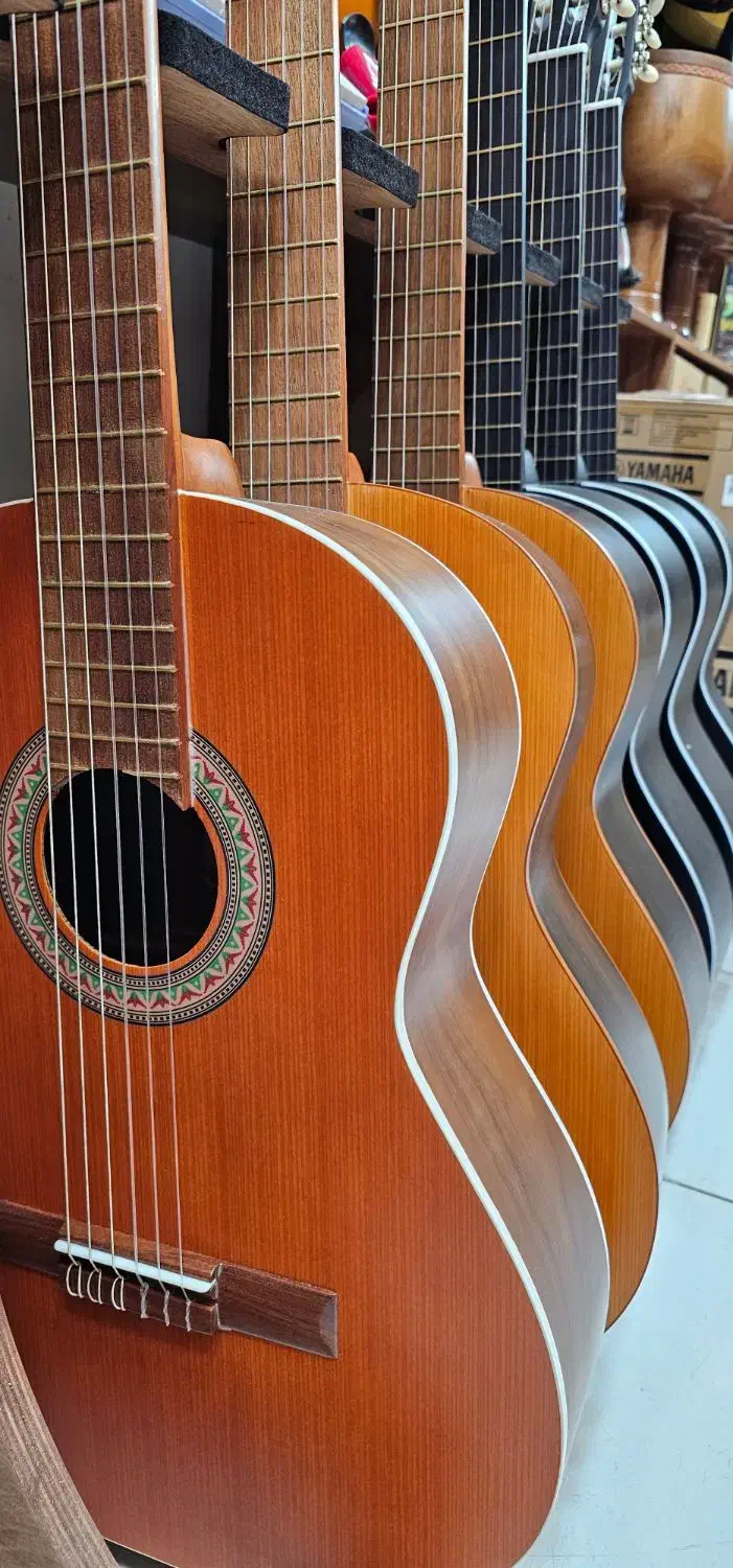 گیتار پارسی|گیتار، بیس، امپلیفایر|محمدیه-قزوین, |دیوار