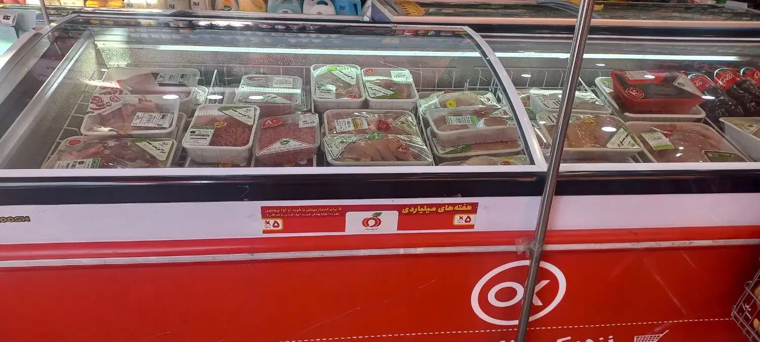 یخچال مغازه سالم ۱۰ روز کار با ضمانت|فروشگاه و مغازه|مشهد, کوثر|دیوار