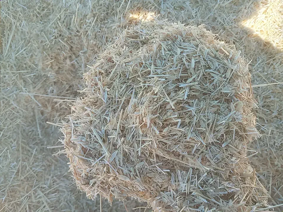 کاه دیم|لوازم جانبی حیوانات|سارال, |دیوار