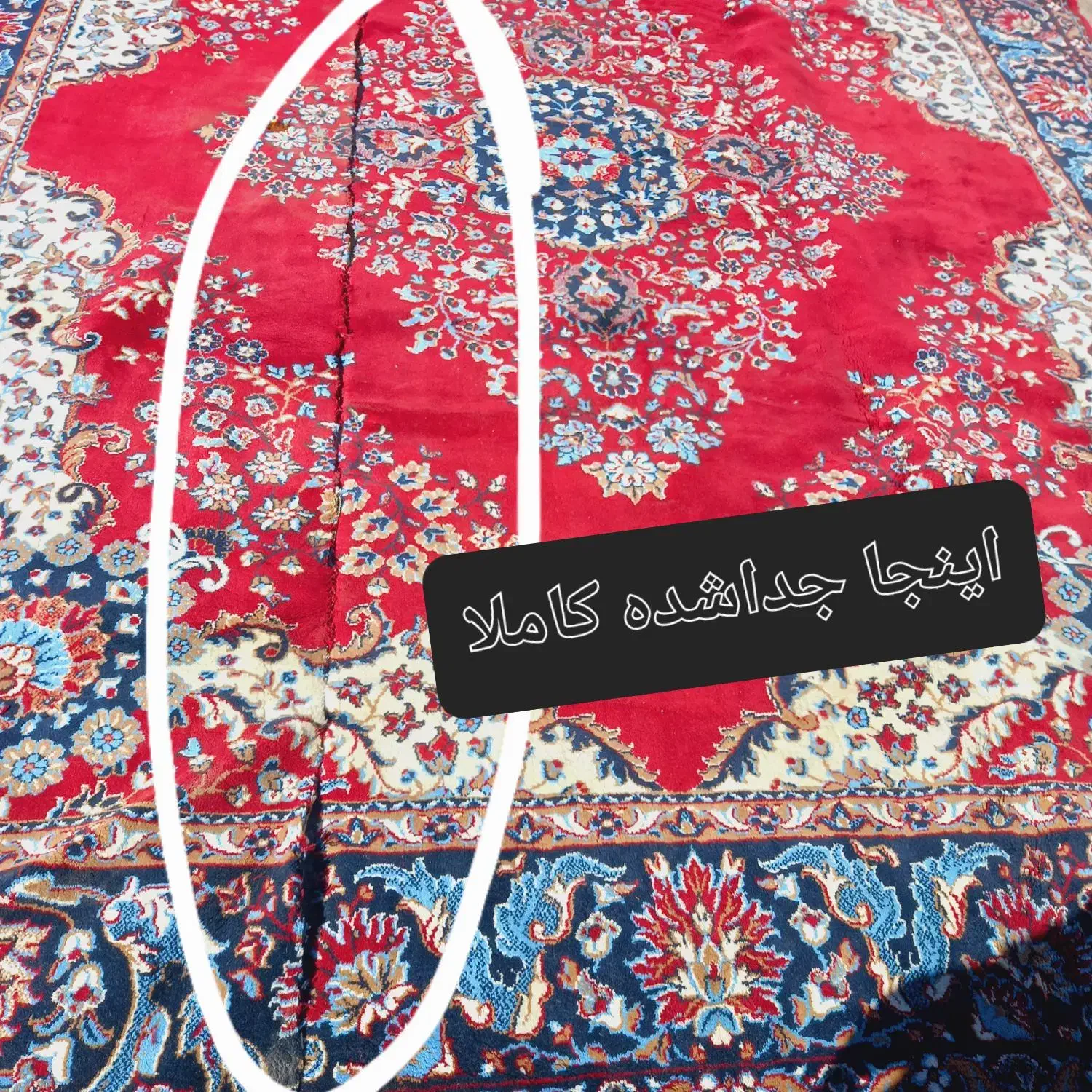 فرش ۱۲متری|فرش|ایلام, |دیوار