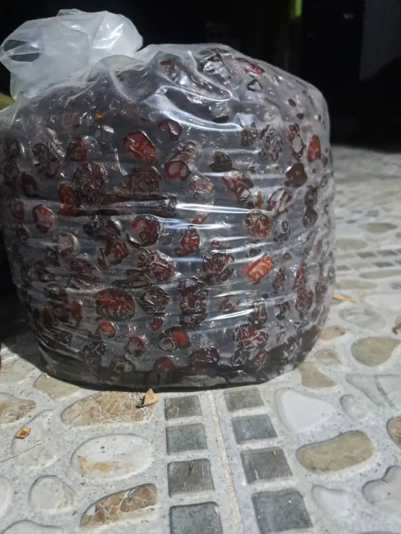 فروش خرما پلاستیکی ومرداسنگ ومجول|خوردنی و آشامیدنی|شیراز, آزادگان|دیوار