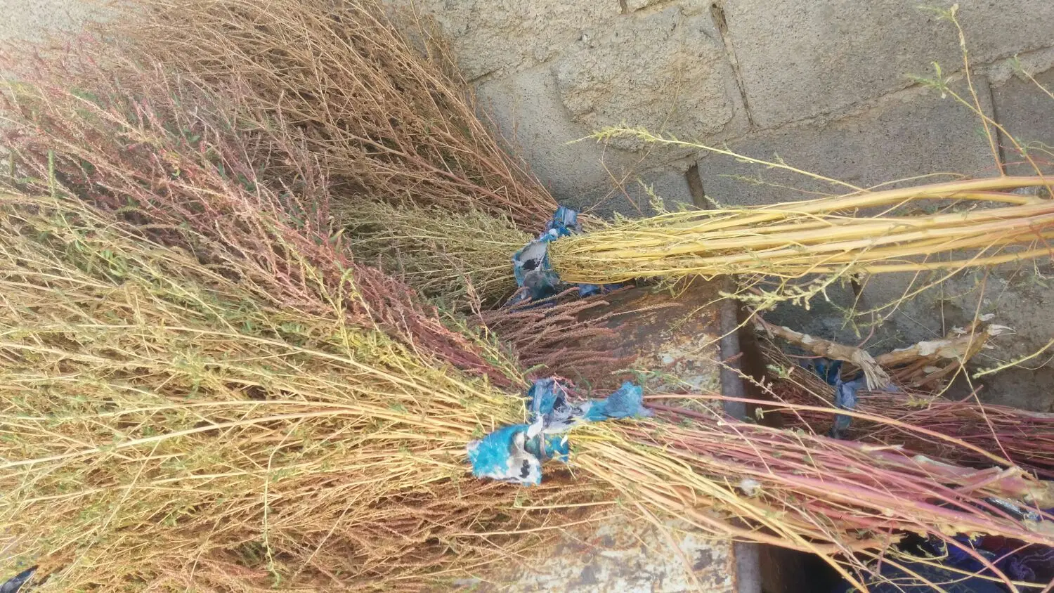 جارو|جاروبرقی، جارو شارژی، بخارشو|کاکاوند, |دیوار