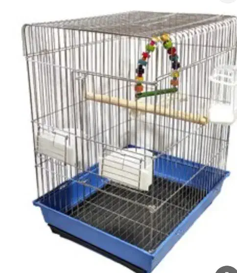 قفس عروس هلندی|لوازم جانبی حیوانات|سراب, |دیوار