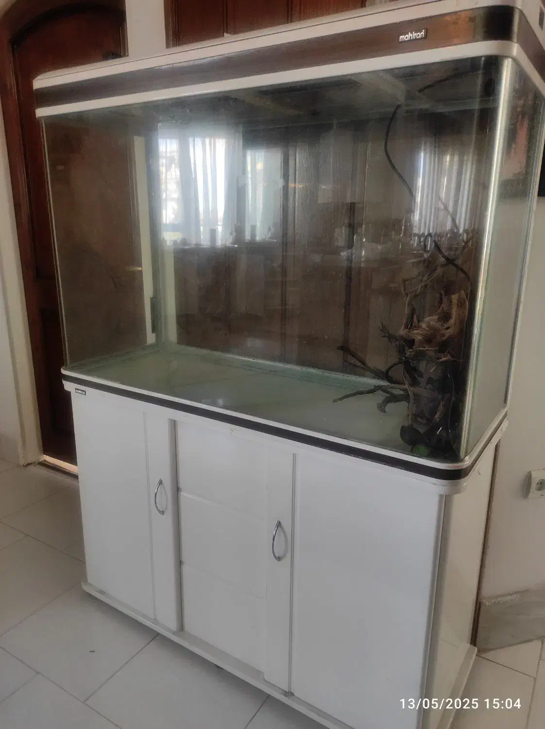 آکواریوم بزرگ شرکت ماهیران|ماهی|مشهد, فارغ التحصیلان|دیوار