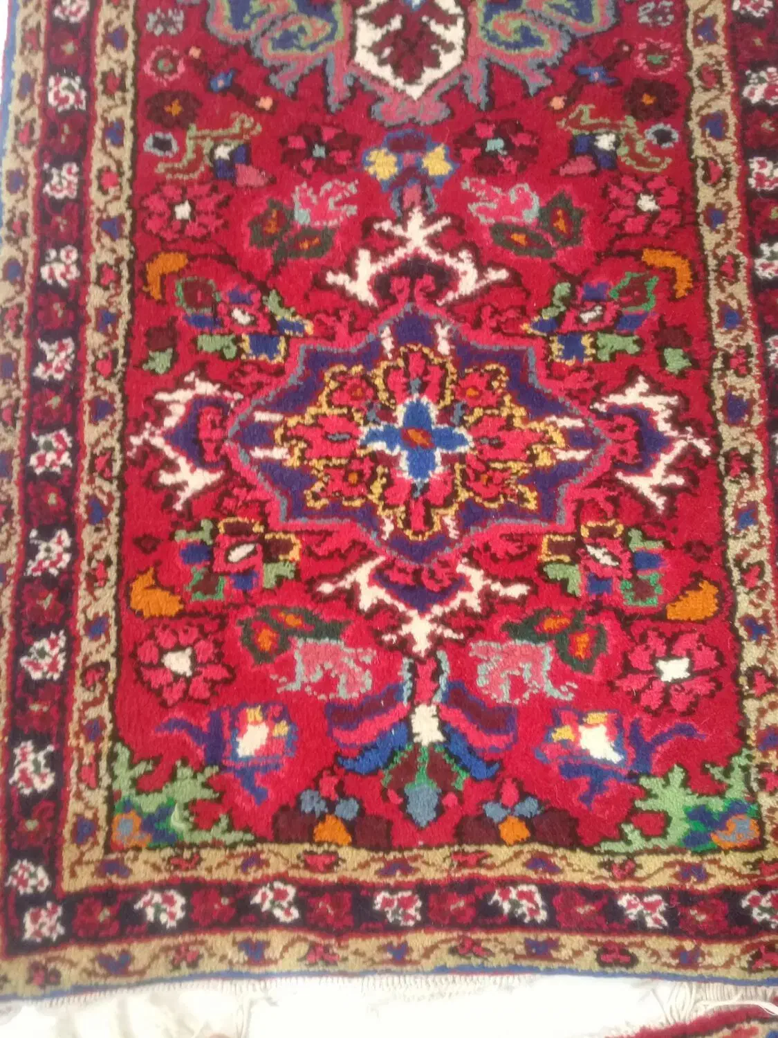 فرش دست بافت دومتری هریس|فرش|اهر, |دیوار