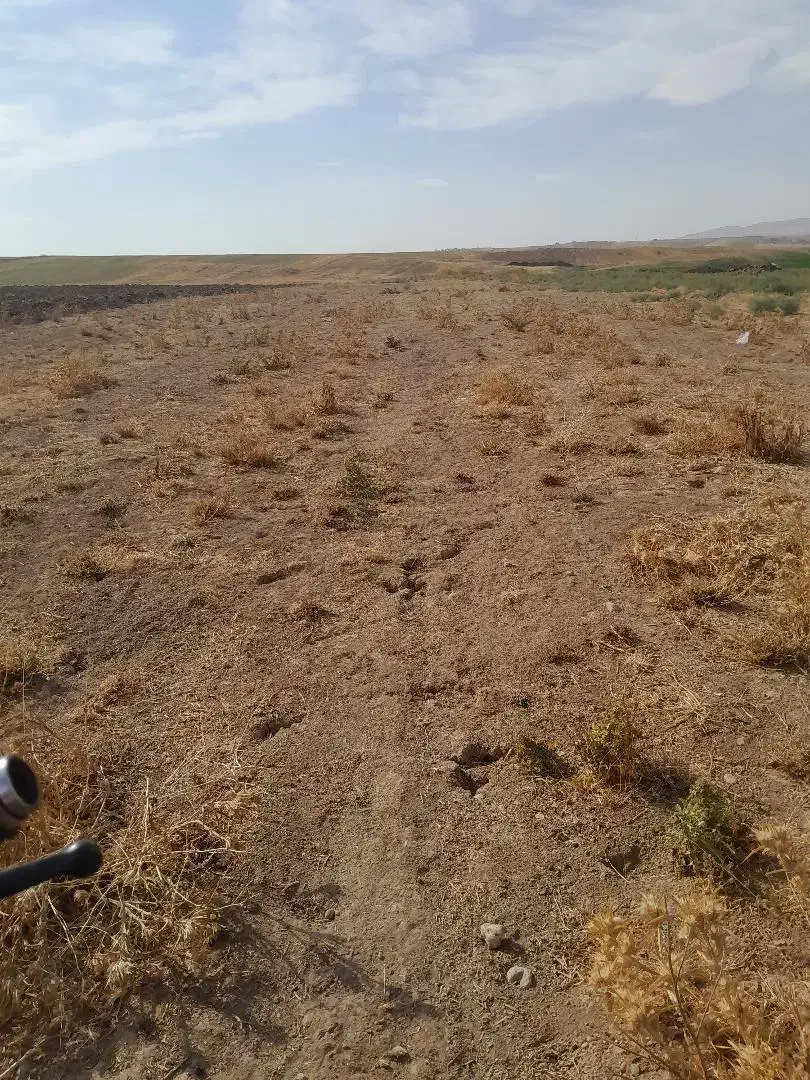 فروش فوری زمین کشاورزی|فروش زمین و ملک کلنگی|کندوان, |دیوار