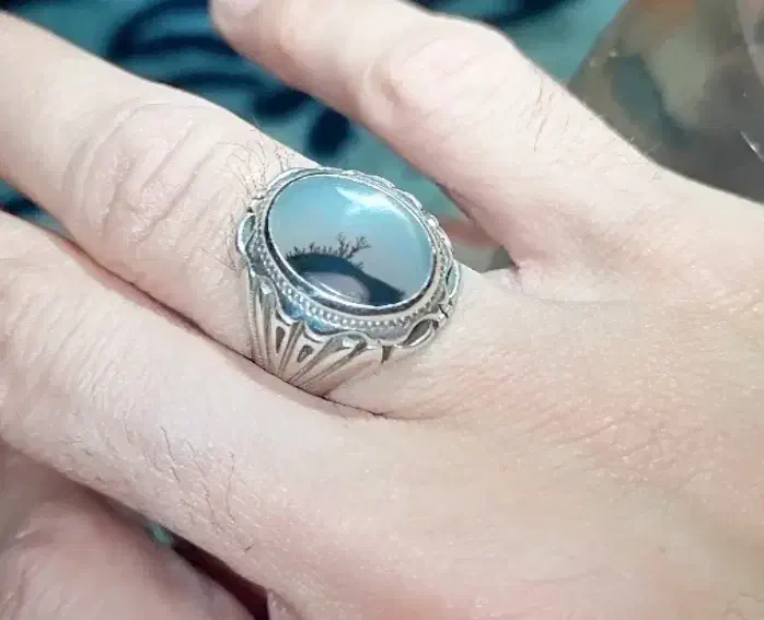 شجر ناب قائنات|جواهرات|قم, نیروگاه|دیوار