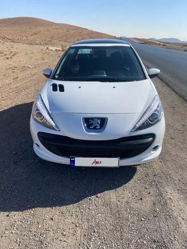 ۲۰۷ پانا بی رنگ بسیار تمیز|خودرو سواری و وانت|تهران, تهرانپارس غربی|دیوار