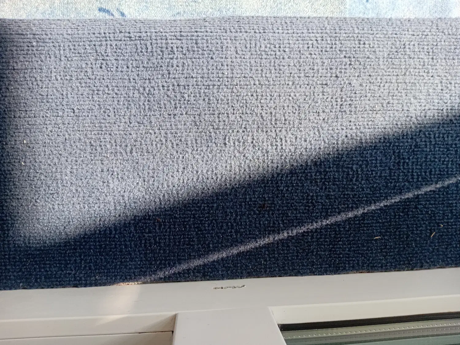 موکت کبریتی آبی نفتی عرض ۲ و عرض۳|موکت|نوشهر, |دیوار