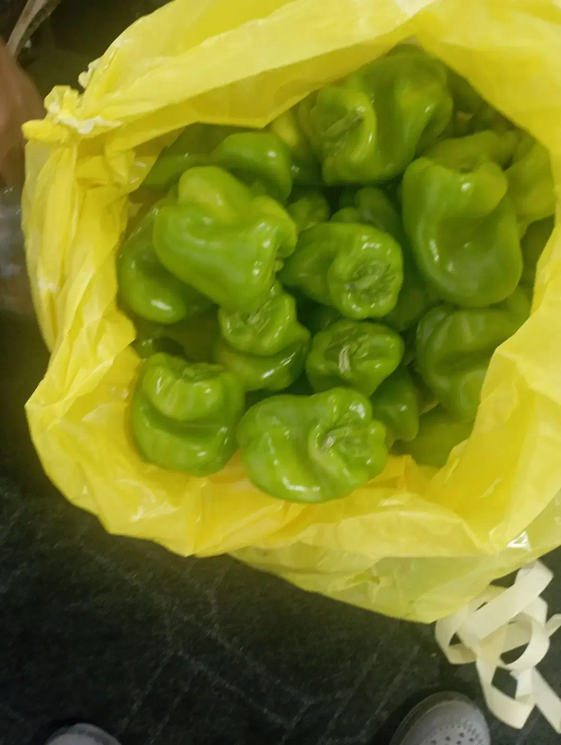 جذب نیرو|استخدام صنعتی، فنی، مهندسی|جیرفت, |دیوار