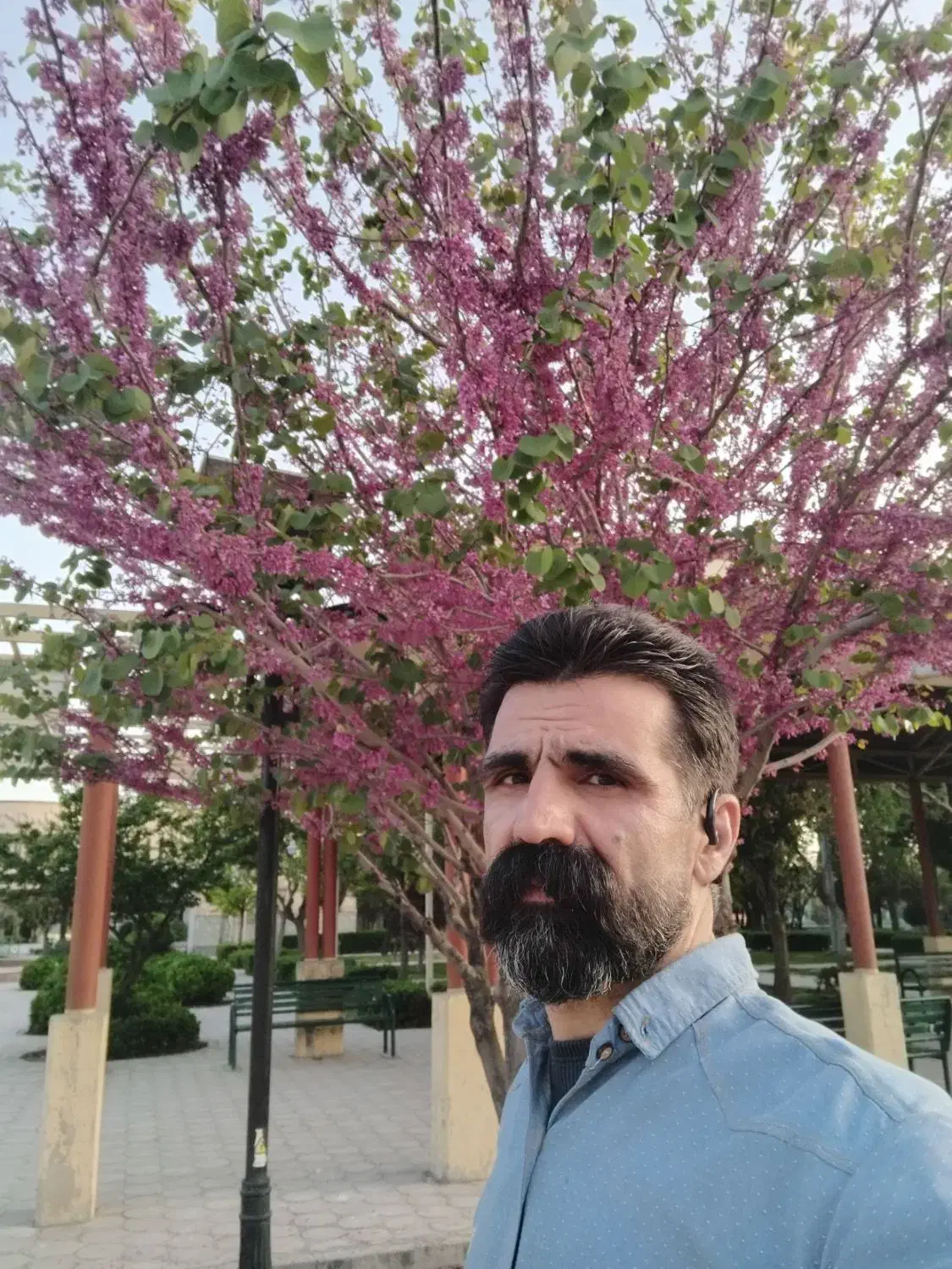 نقاشی ساختمان پایین ترین قیمت بالا ترین کیفیت|خدمات پیشه و مهارت|همدان, |دیوار