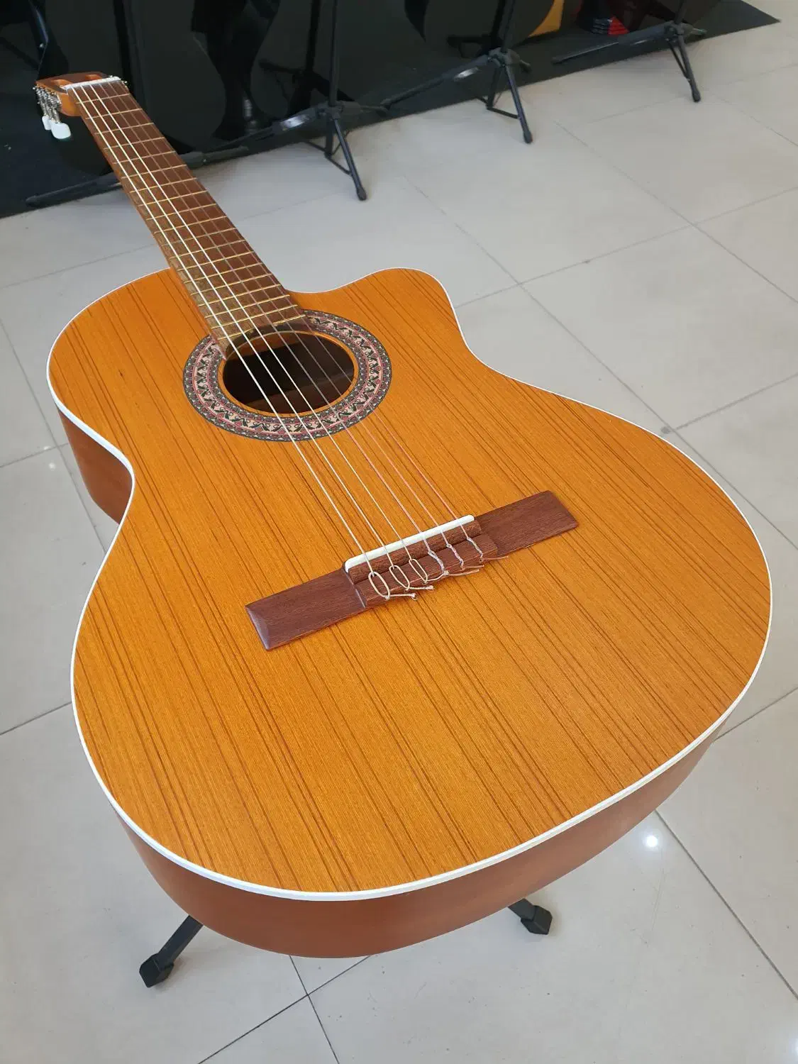 گیتار پارسی در همه مدل|گیتار، بیس، امپلیفایر|مشهد, الهیه|دیوار