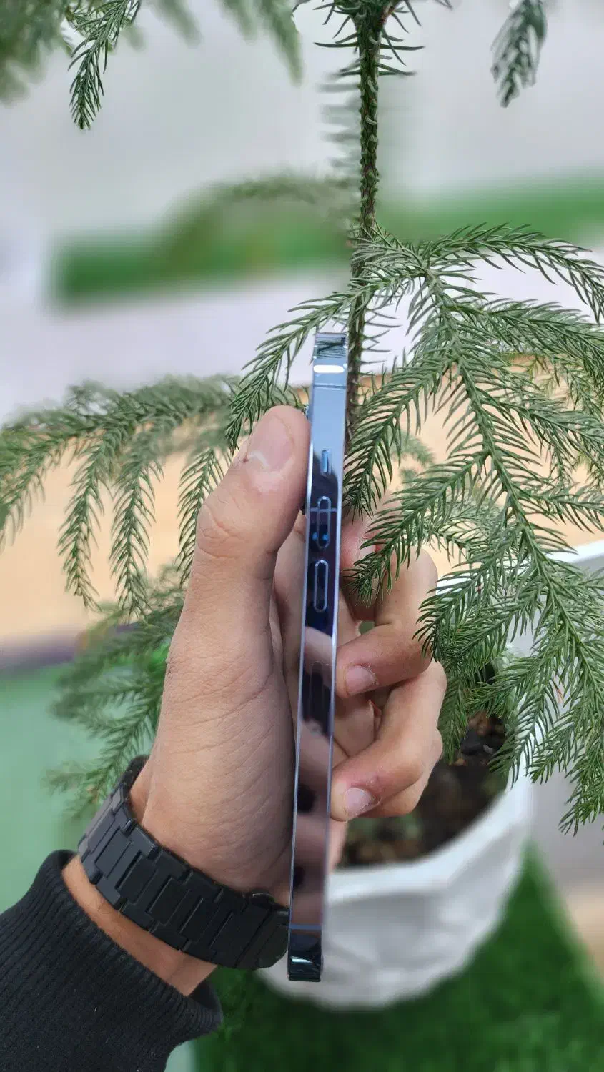 iPhone 13pro درحد خشک|موبایل|زاهدان, |دیوار