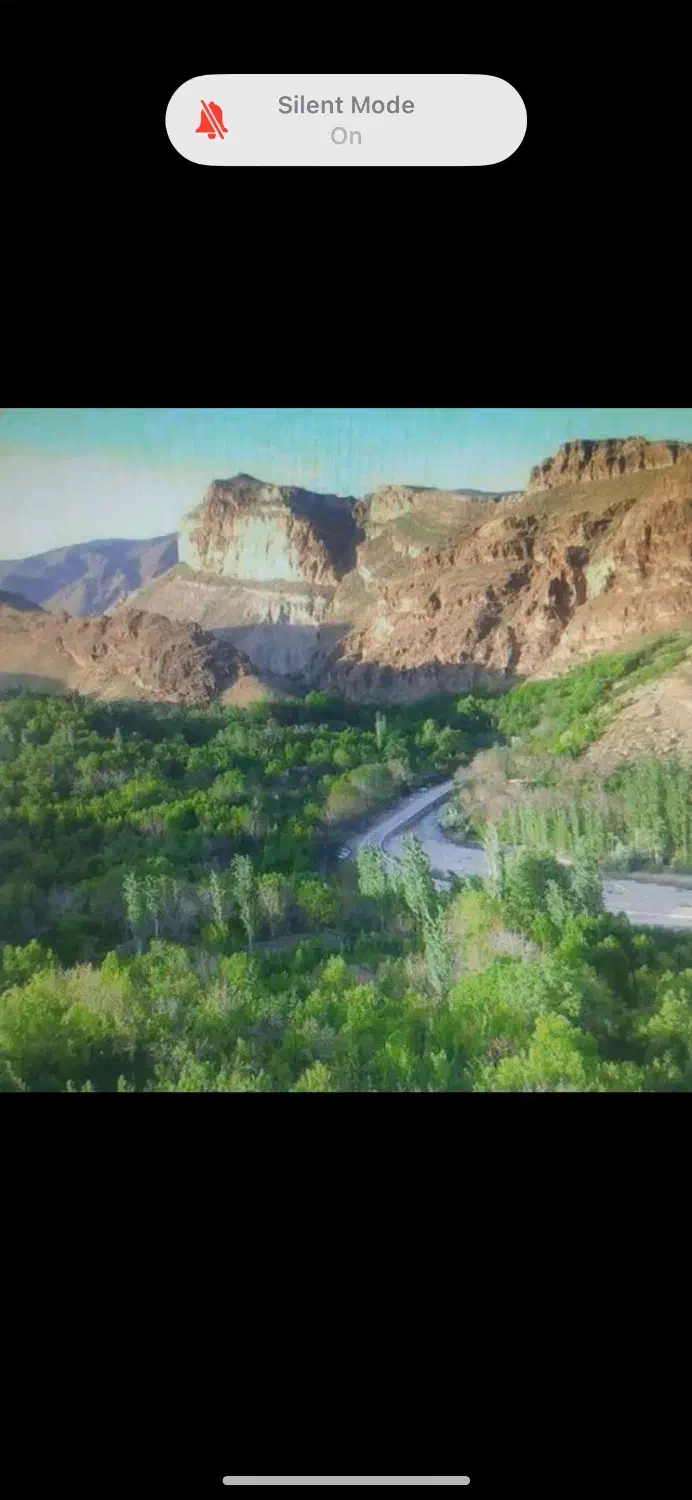 فروش باغ میوه|فروش زمین و ملک کلنگی|مشهد, کارده|دیوار