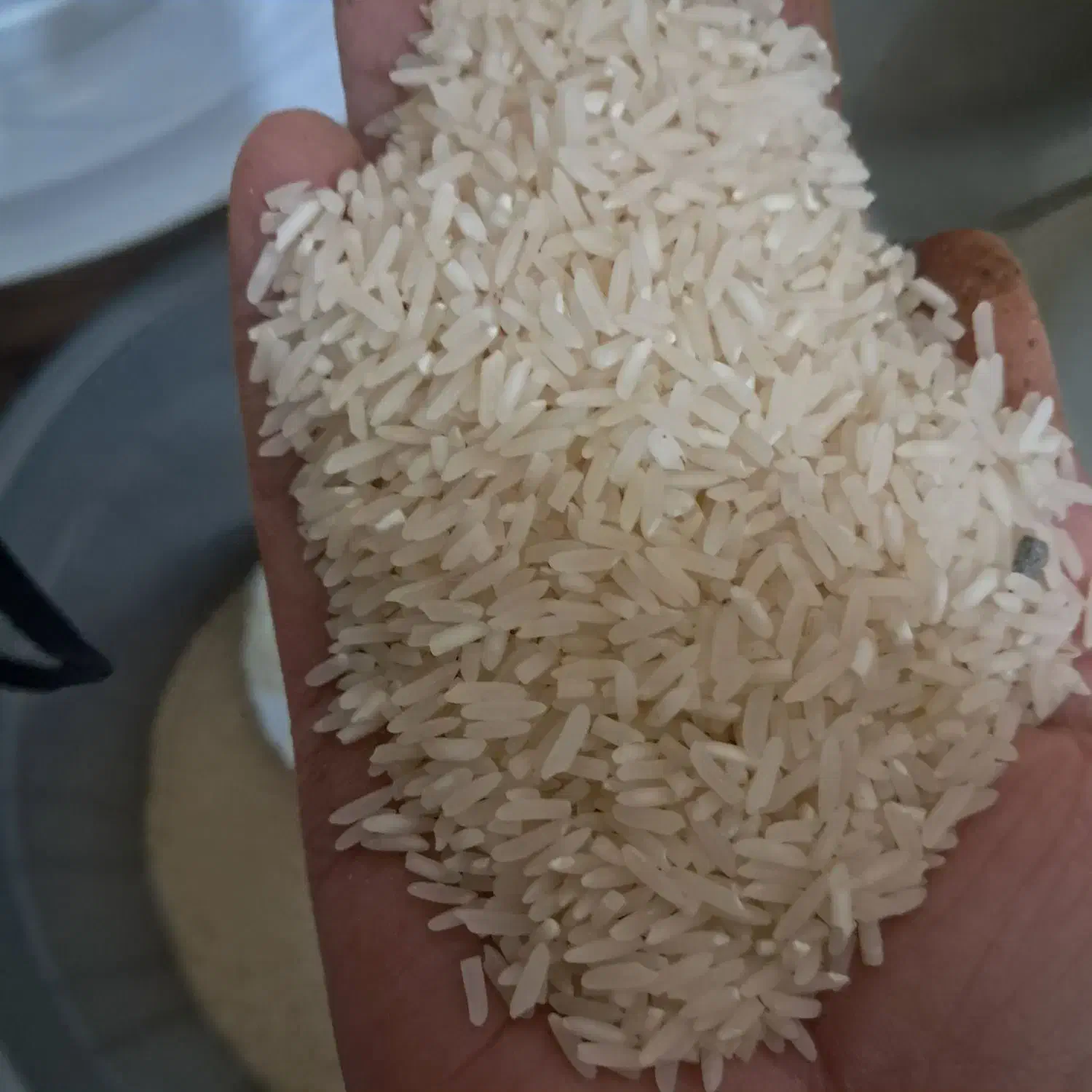 فروش برنج|خوردنی و آشامیدنی|دهدشت, |دیوار
