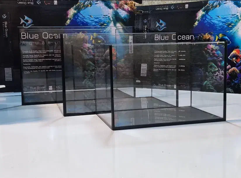 جشنواره آکواریوم های ریملس با قیمت باورنکردنی|ماهی|رشت, پل تالشان|دیوار