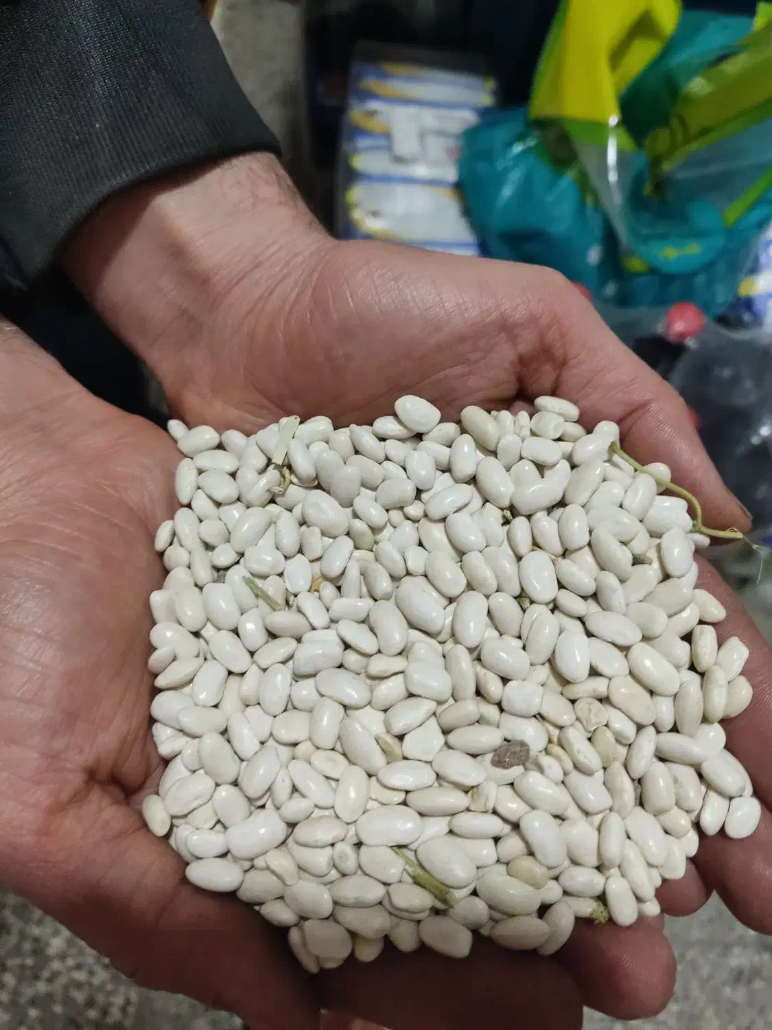 لوبیا سفید درجه یک تازه|خوردنی و آشامیدنی|گنبد کاووس, |دیوار