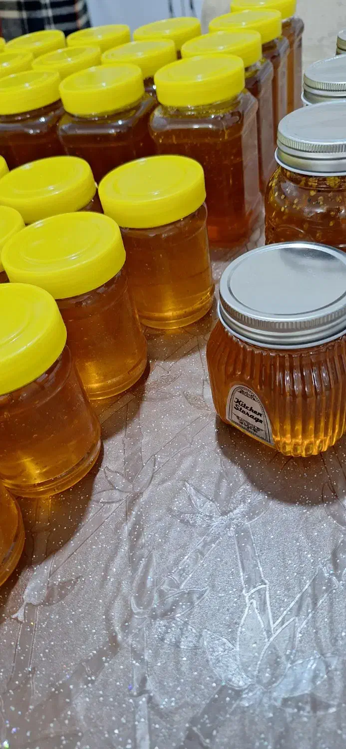 عسل سراب|خوردنی و آشامیدنی|صباشهر, |دیوار