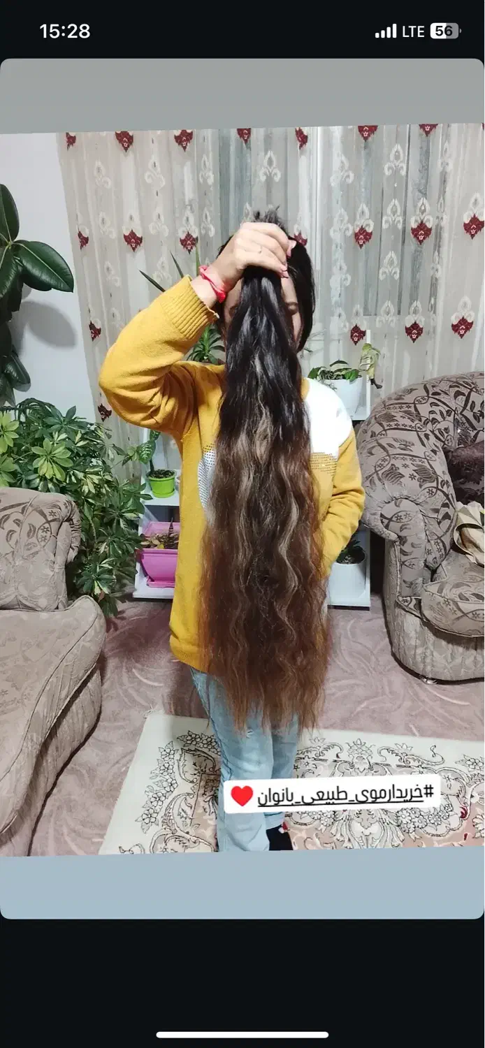 باش توکی عالیوخ|آرایشی، بهداشتی، درمانی|مشگین شهر, |دیوار