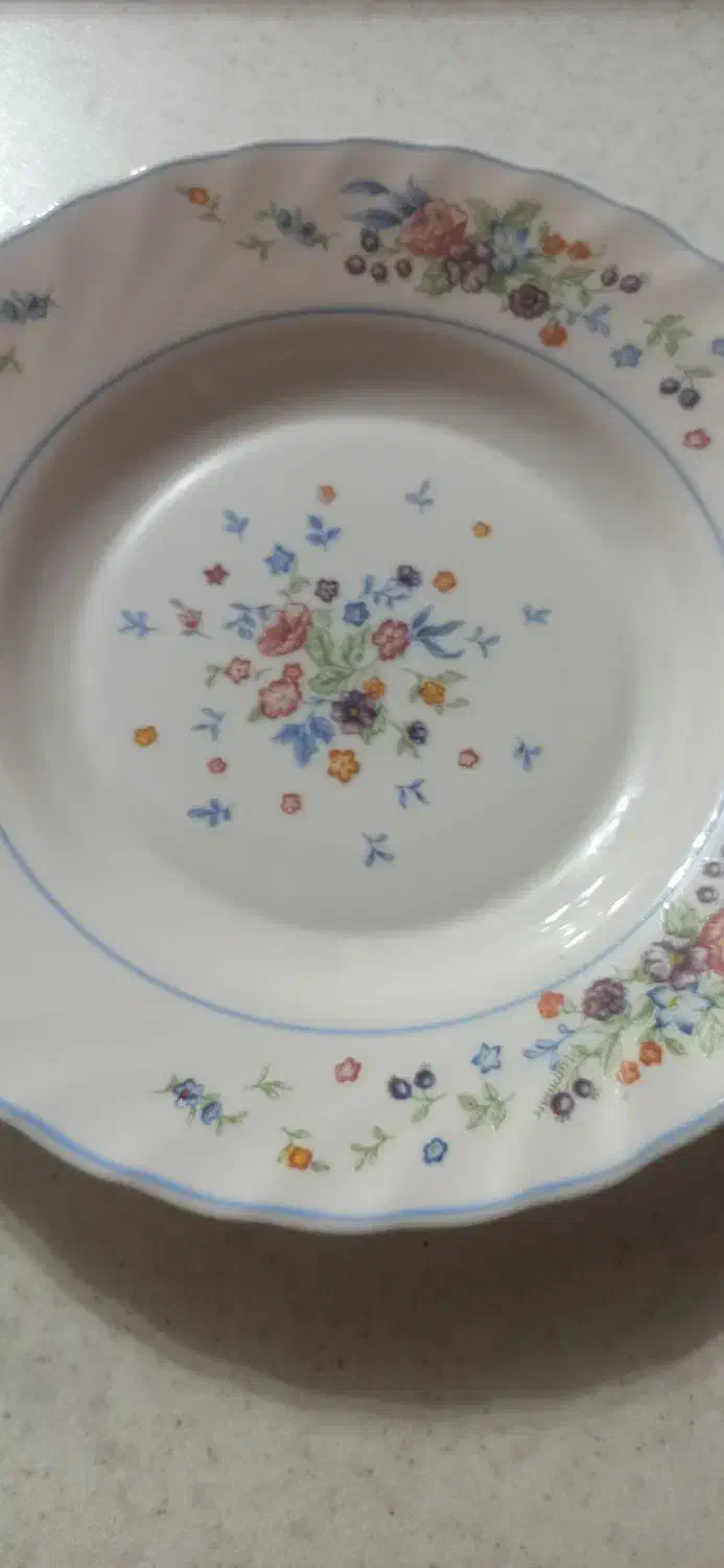 بشقاب لومینارک فرانسه نووسالم|ظروف سرو و پذیرایی|نجف‌آباد, امام خمینی|دیوار