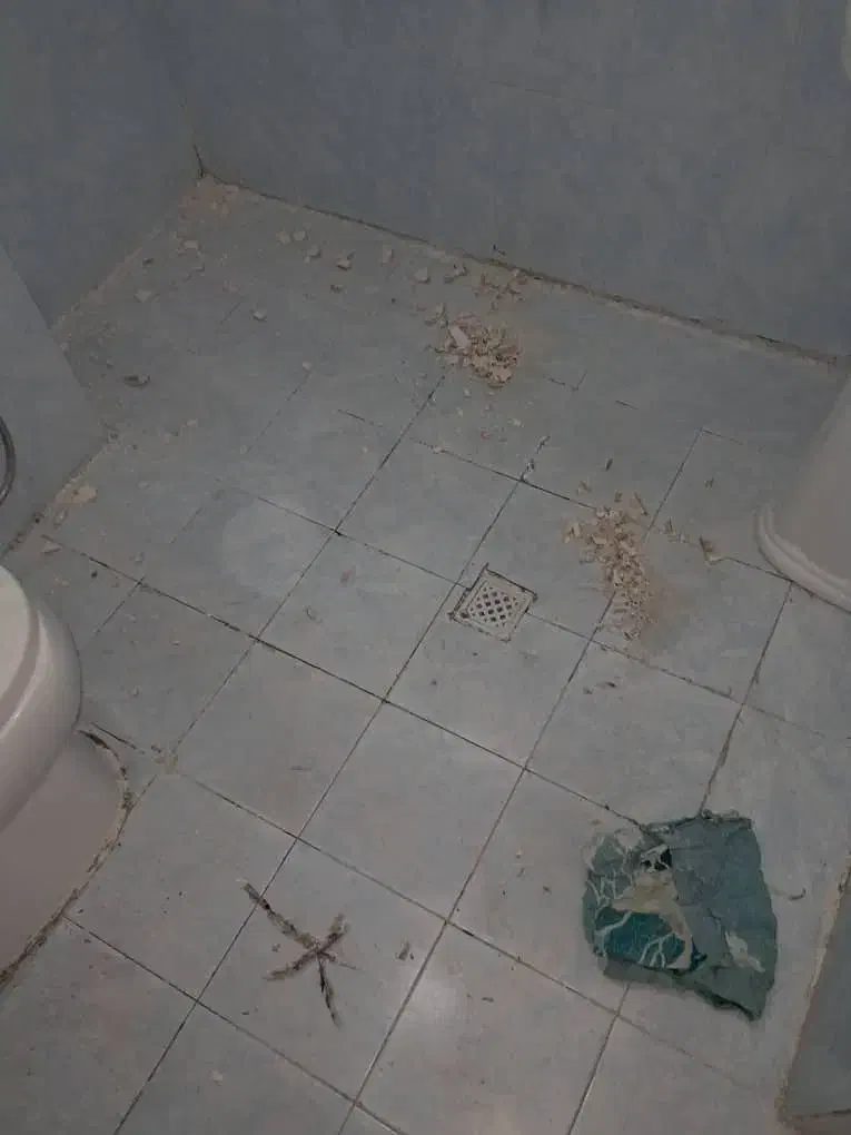 نانو عایق ساختمان|خدمات پیشه و مهارت|سنندج, |دیوار