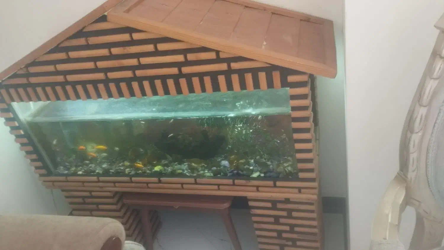 اکواریوم|ماهی|پرند, فاز ۳|دیوار