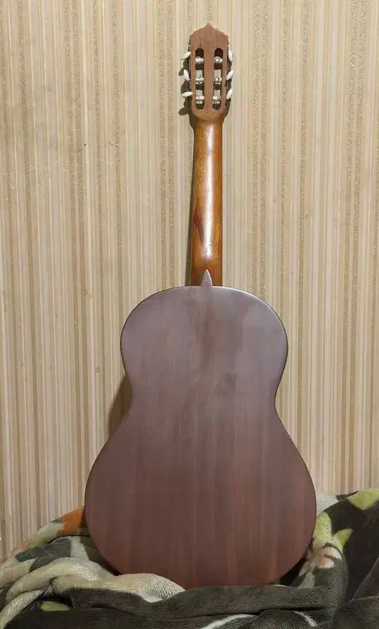 گیتار پارسی m5 نو|گیتار، بیس، امپلیفایر|نیشابور, شهرک قدس|دیوار