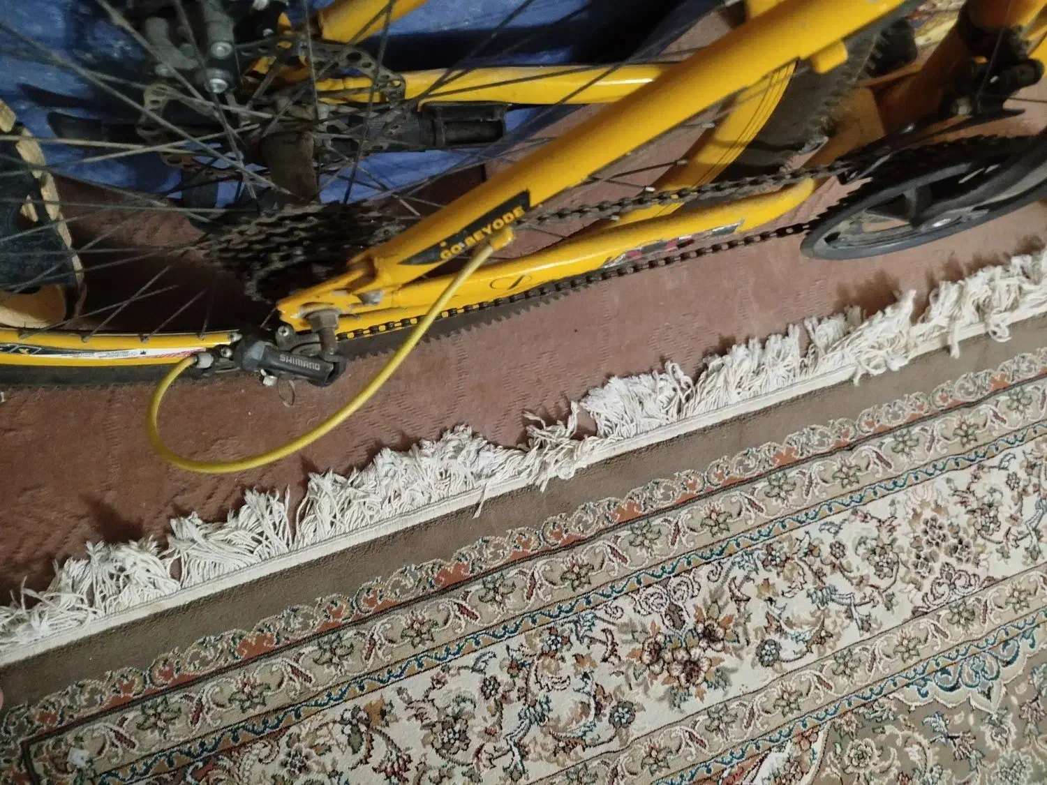 دوچرخه|دوچرخه، اسکیت، اسکوتر|صدرا-فارس, فاز ۲|دیوار